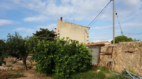 Finca de 5 Ha con masía, immagine 4