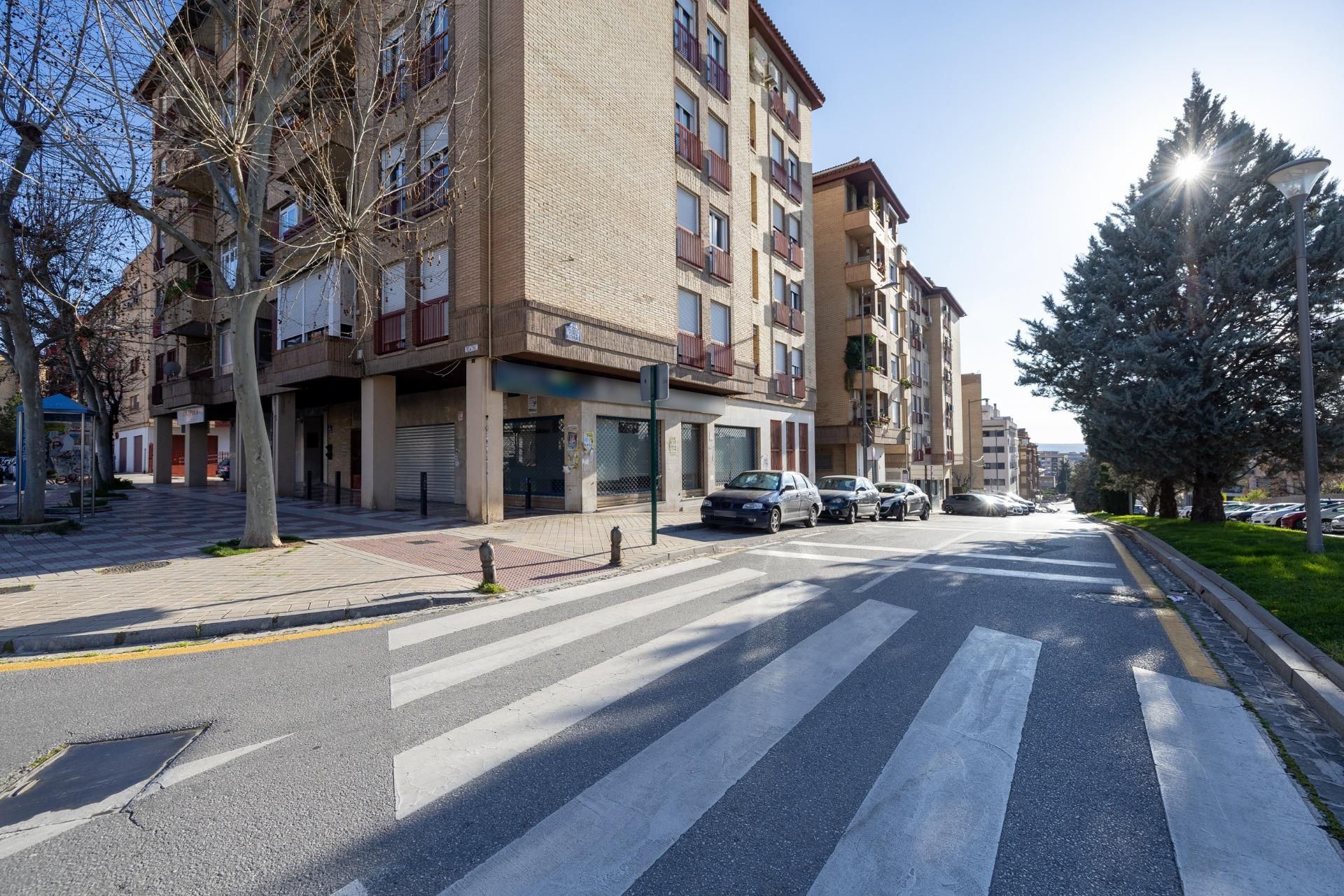 Exterior view of Premises for sale in  Granada Capital
