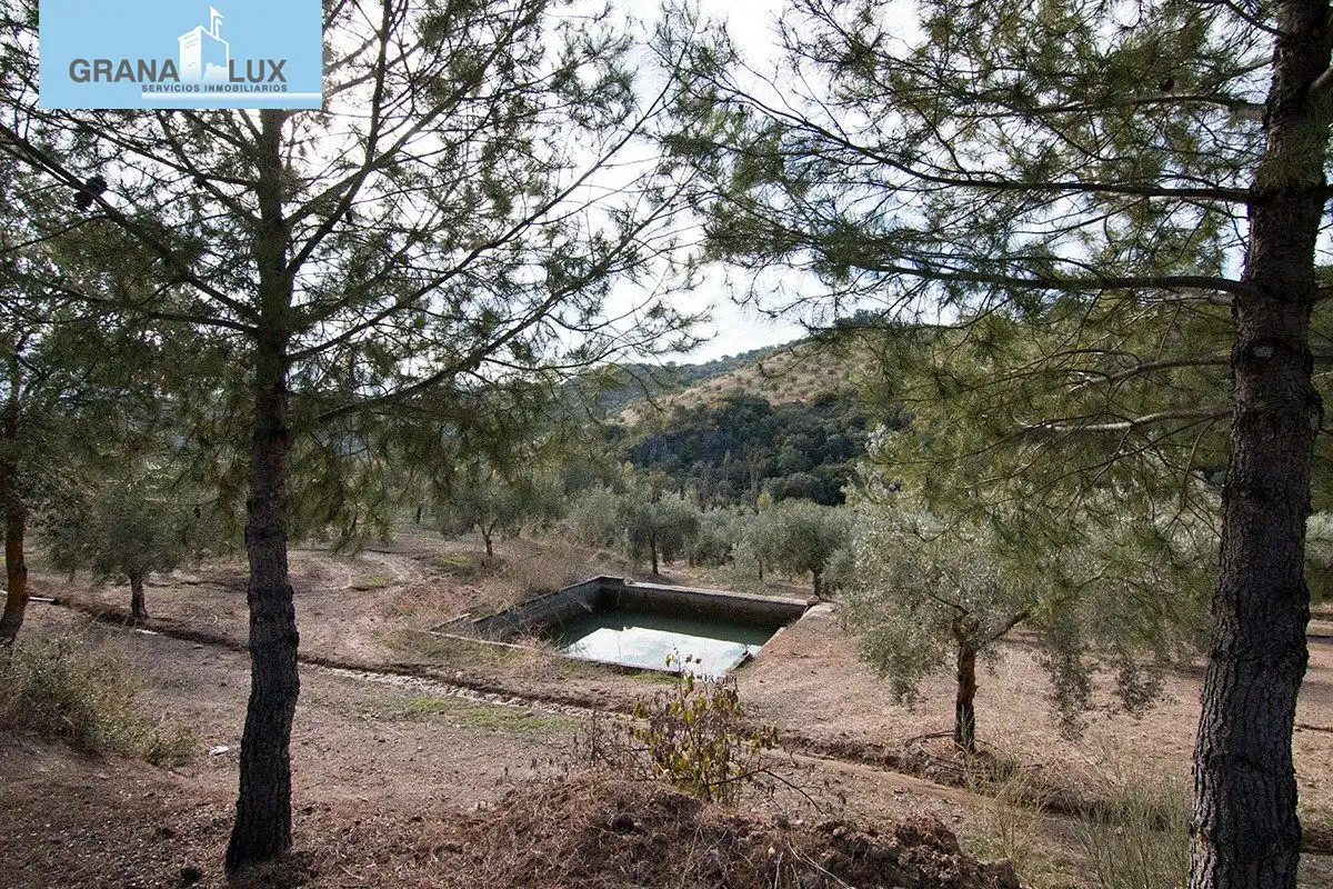 Country homes for sale in Loja