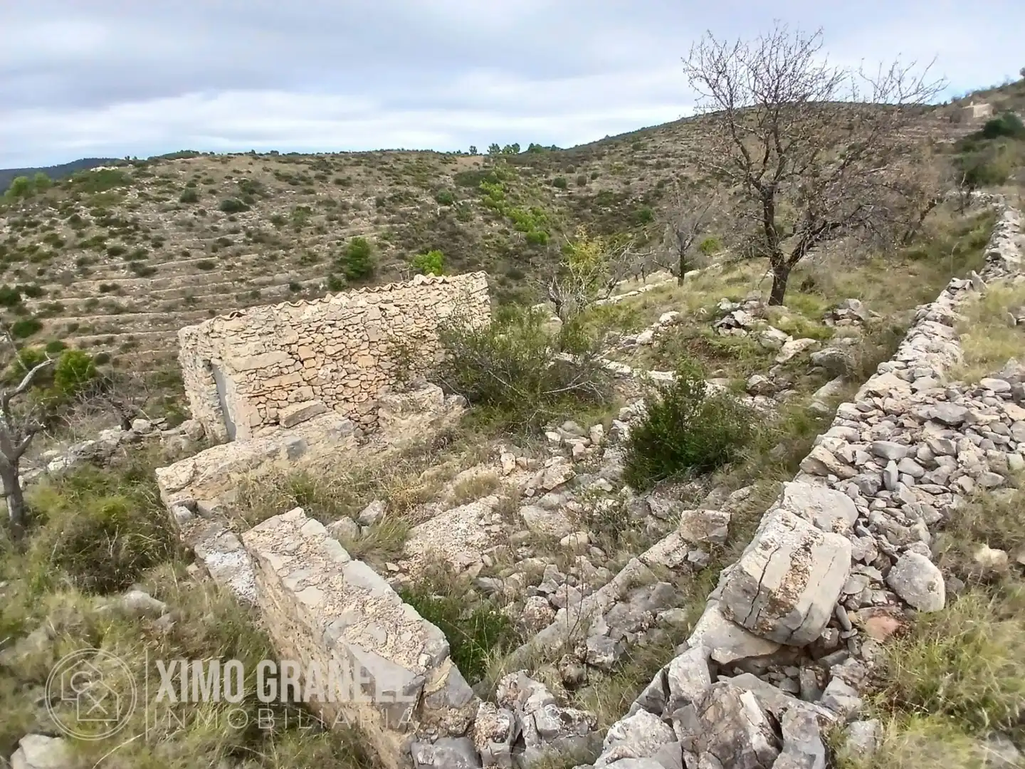 Terreny rústic en venda a La Vall d'Uixó, imagen 7