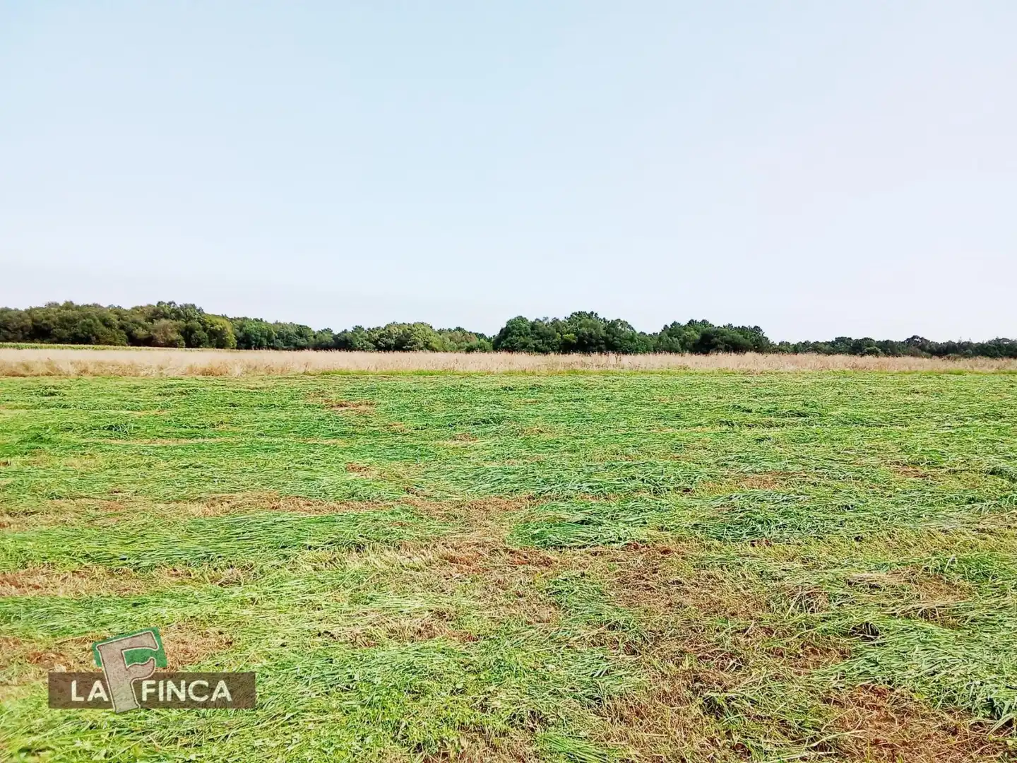 Residencial en venda en El Franco 