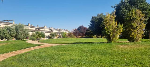 Local comercial en Alquiler en Facultad de Medicina