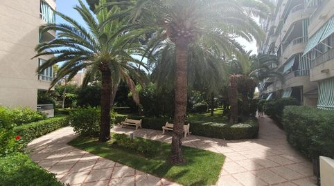Foto 5 de Apartament de lloguer a Paz, 29, Playa de Gandia, Gandia