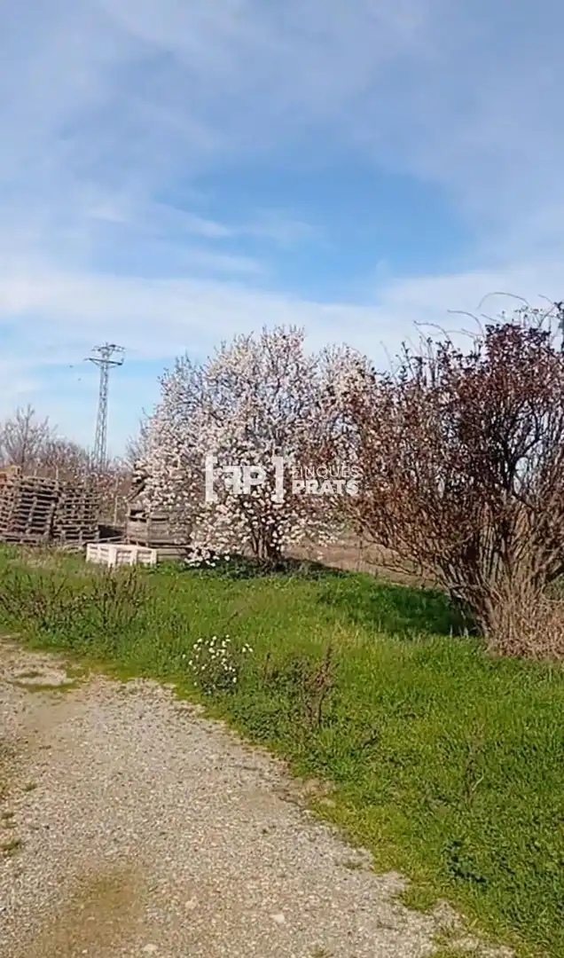 Terreno rústico en venta en LA PLANA DE BOLDÚ, imagen 7