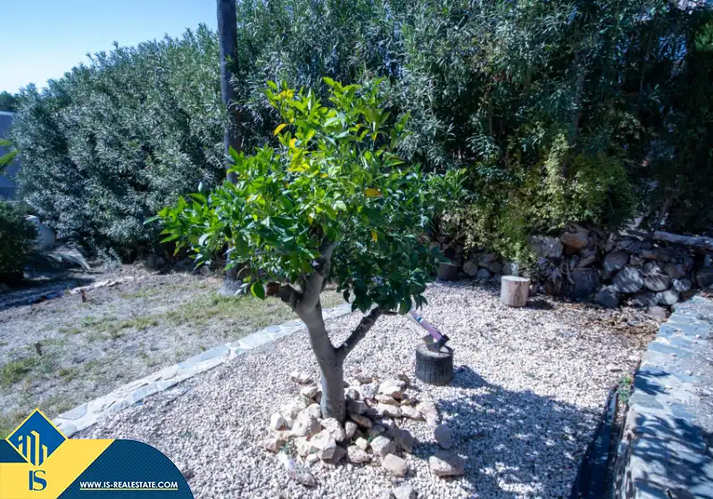 Xalet amb piscina en venda a Orihuela Costa, imagen 14