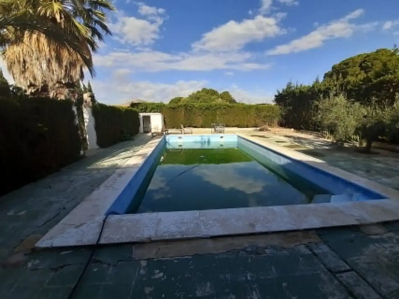 Casa o chalet en venta en Novelda