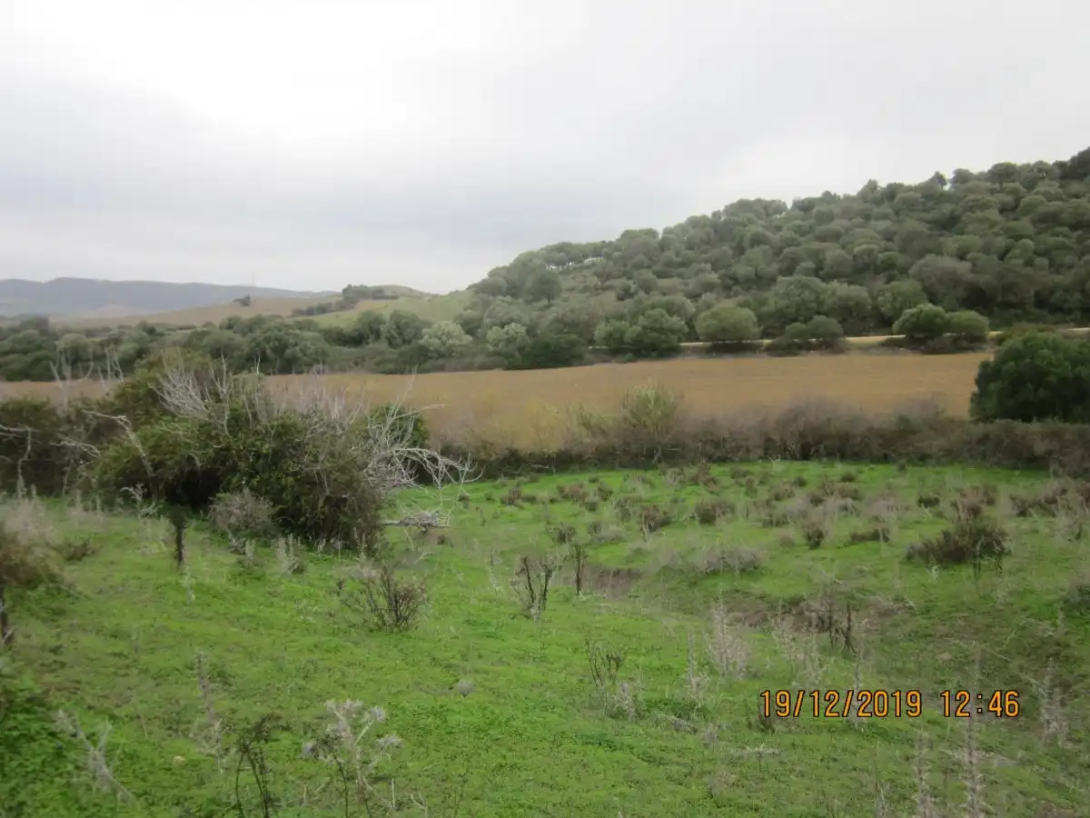 Terrain rustique à vendre à Vejer