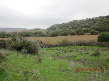Rustikales Grundstück zum Verkauf in Vejer