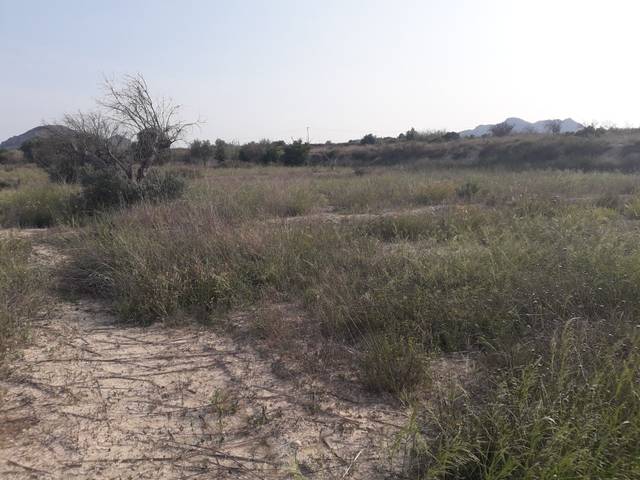 Terreno en Venta en El Verdegàs