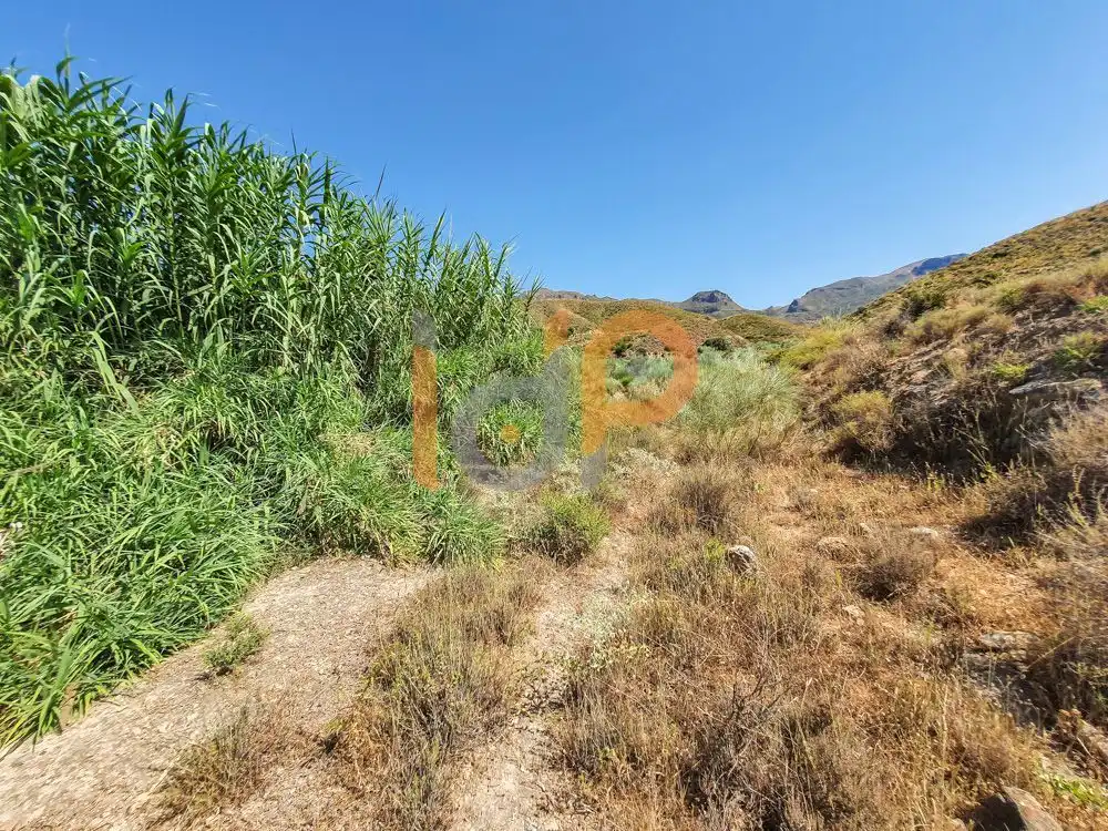 Terreno rustico in vendita a Turre, imagen 6