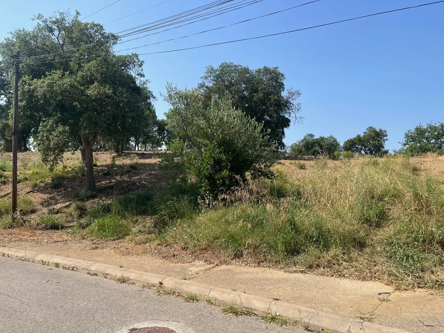 Terrain résidentiel à vendre à Urbanizacion Mas Llunes 1723, imagen 2