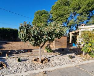 Jardí de Casa o xalet de lloguer en Llíria amb Terrassa i Piscina