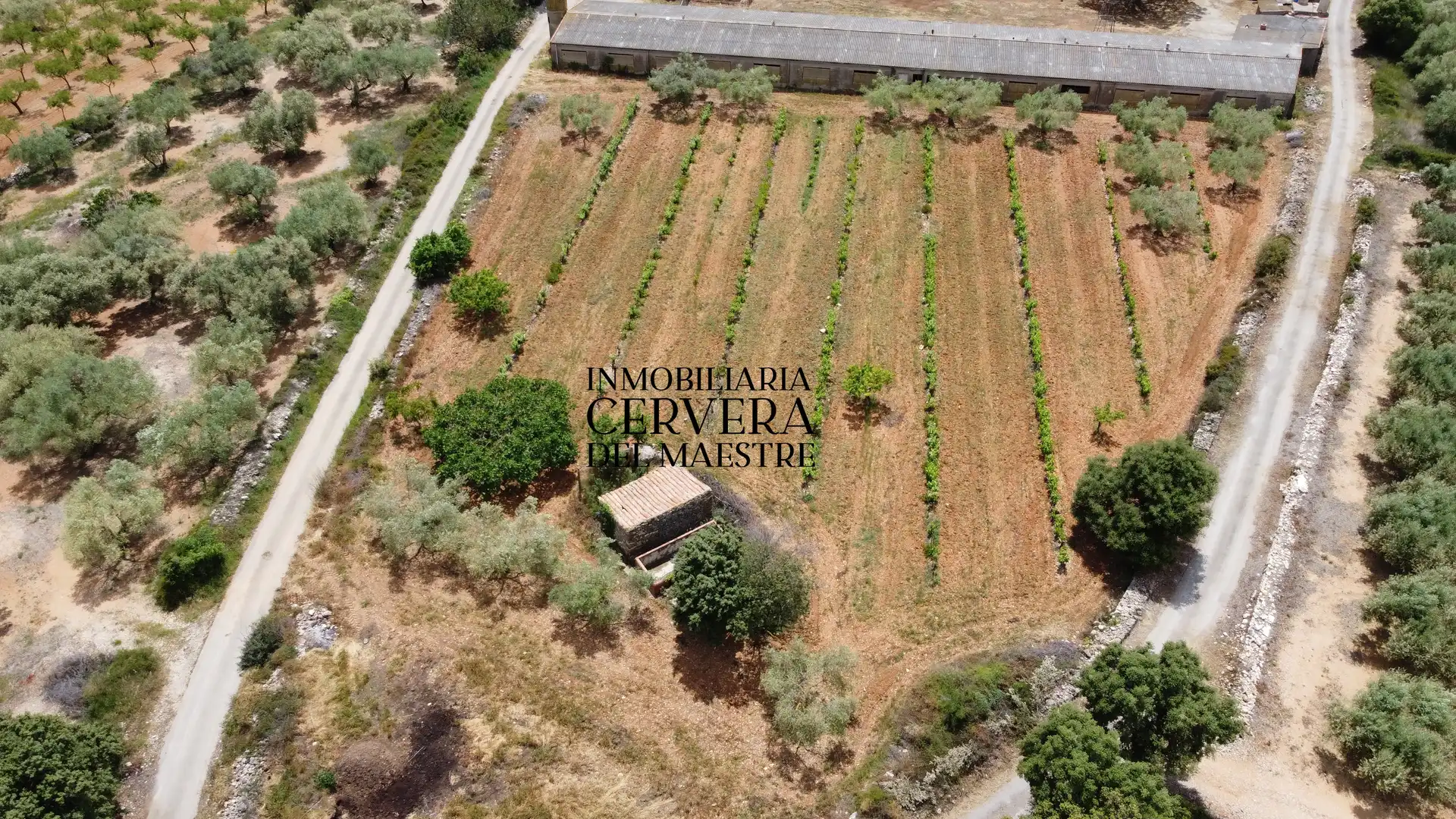 Terreno rustico in vendita a Cervera del Maestre, imagen 20