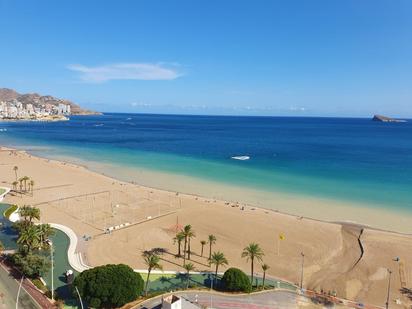 Vista exterior de Pis en venda en Benidorm amb Jardí privat, Parquet i Terrassa