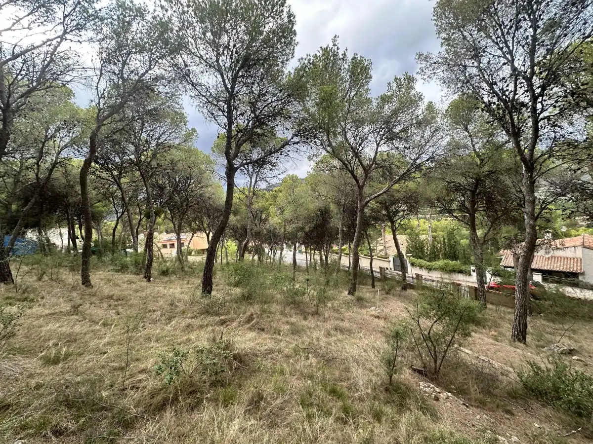 Wohnbaugrundstück zum Verkauf in Torres Torres, imagen 33