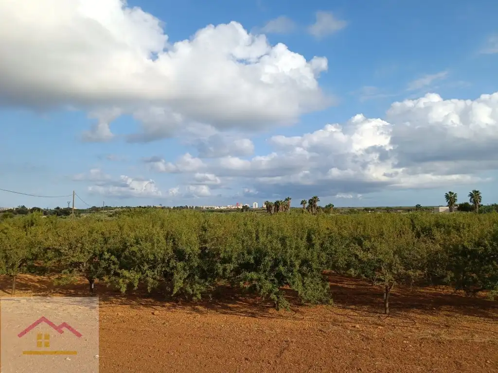 Finca rústica en venda a Calle Oropesa, 14, Torreblanca