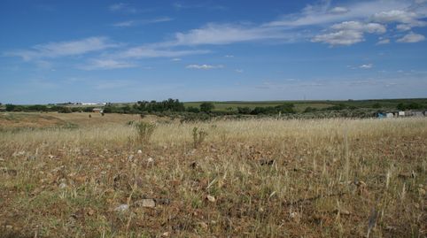 FINCA DE RECREO CARRETERA CAMPOMAYOR., imatge 5