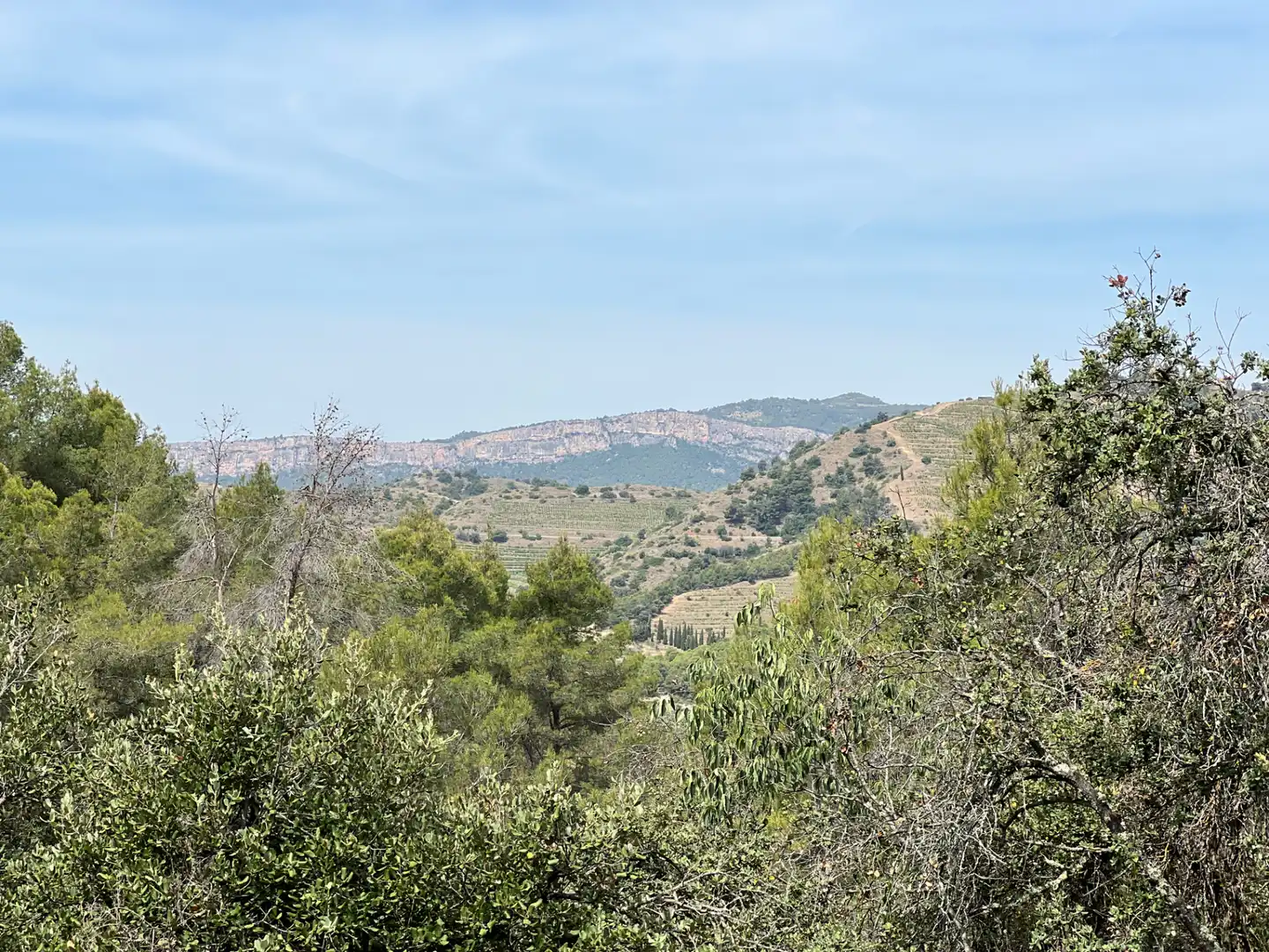 Terreno en venta en Torroja del Priorat