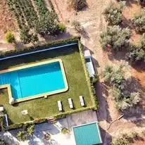 Piscina de Finca rústica en venta en Caniles