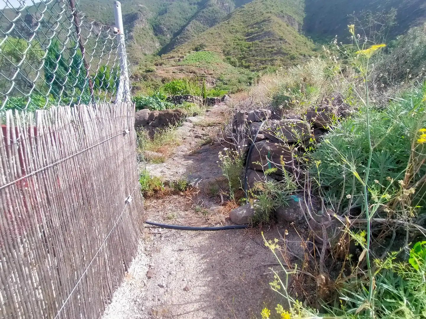 Vista exterior de Terreno en venta en Güímar