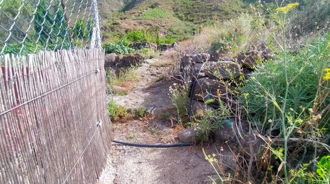 Foto 5 de Terreno en venta en Camino el Barranco, Centro, Güímar