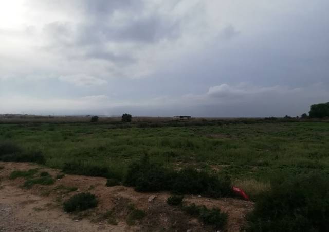 Terreno en Venta en Entrimo