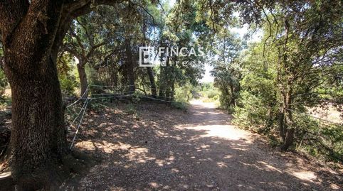 Photo 5 of Country homes for sale in W62m+h8q, Cretas, Teruel