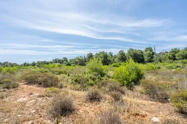 Residential land for sale in Centro ciudad, imagen 5