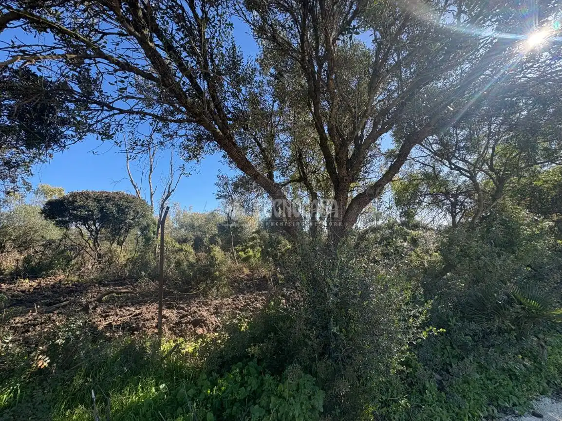 Terrain rustique à vendre à Vejer, imagen 6