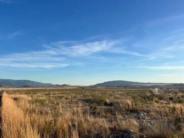 Rural land for sale in Carretera de Barqueros A 11, imagen 8