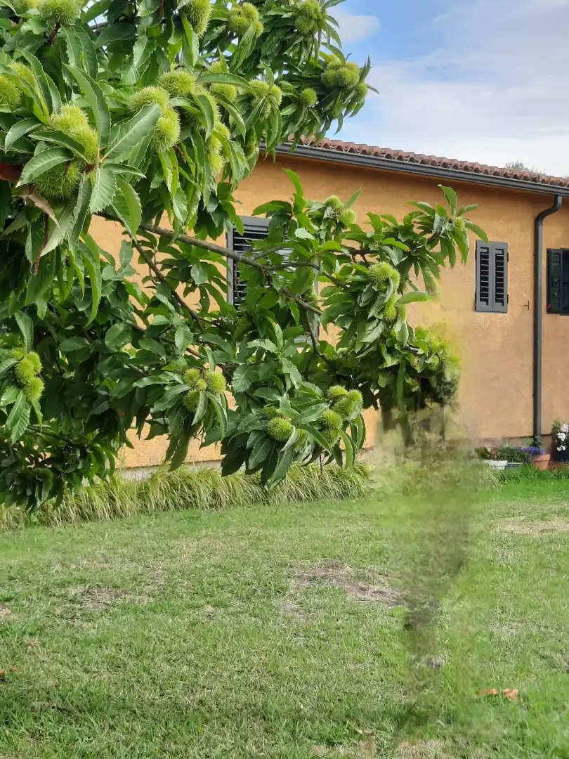 Chalet con piscina en venta en Perbes 60, imagen 85