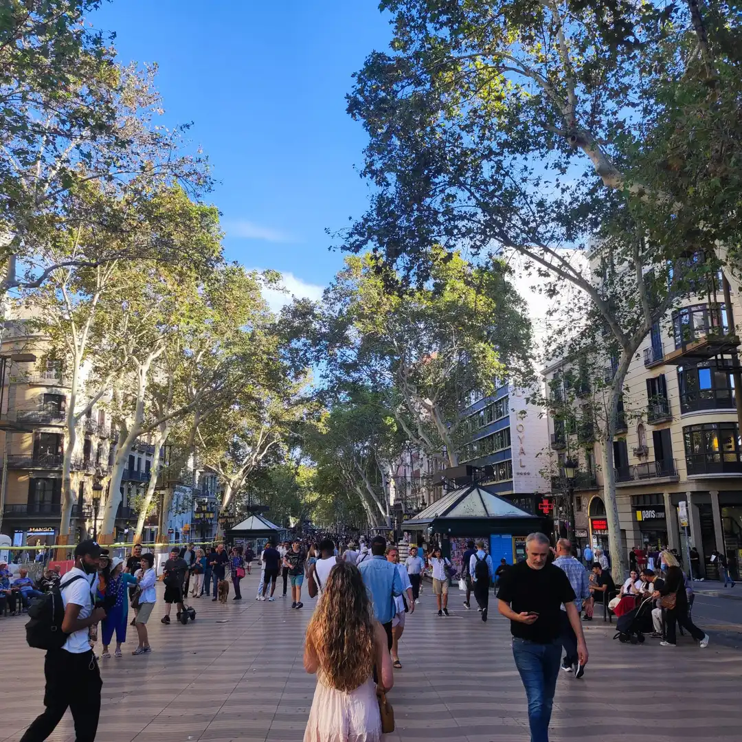 Immobles singulars en venda a Carrer Comtal, imagen 2