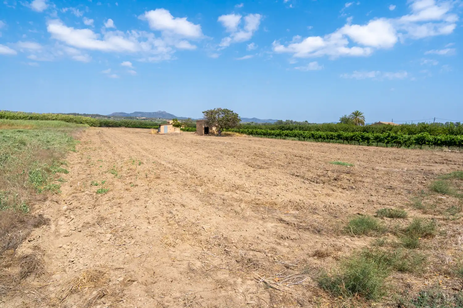 Rural land for sale in Ginestar, imagen 10