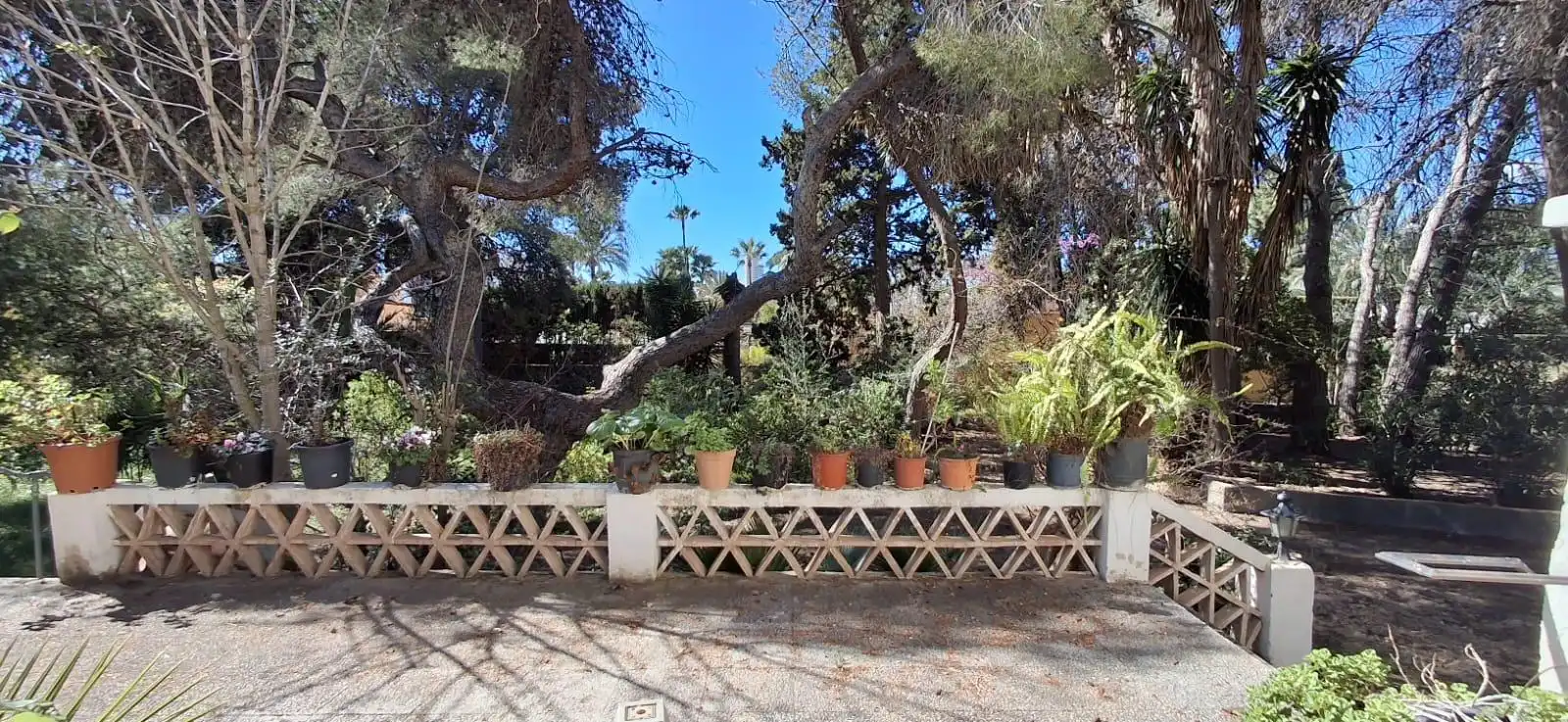 Garden of Country homes for sale in Benidorm  with Private garden, Terrace and Storage room