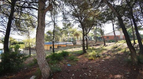 TERRENO PLANO EN LES PALMERES, CANYELLES, immagine 5