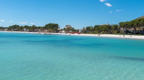 Foto 2 de Apartament en venda a Port d'Alcúdia - Platja d'Alcúdia, Alcúdia