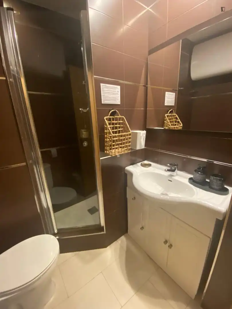 Bathroom of Apartments for rent in Madrid  with Air Conditioner, Furnished and Oven