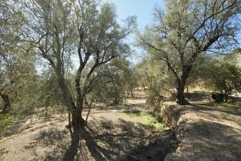 Terreno rustico in vendita a El Pinar, imagen 7