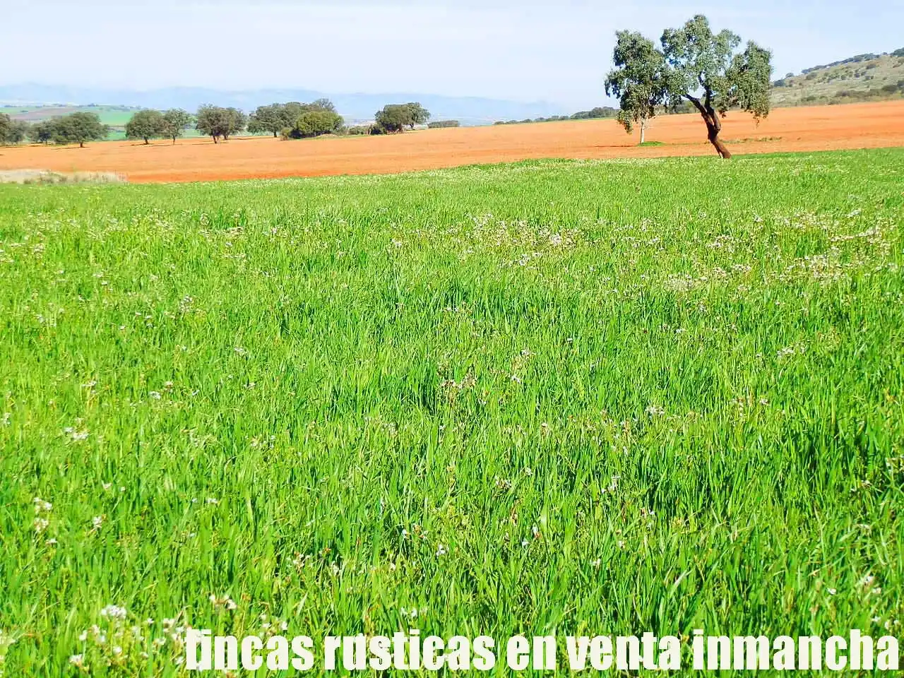 Terreno rustico in vendita a Aldea del Rey, imagen 3