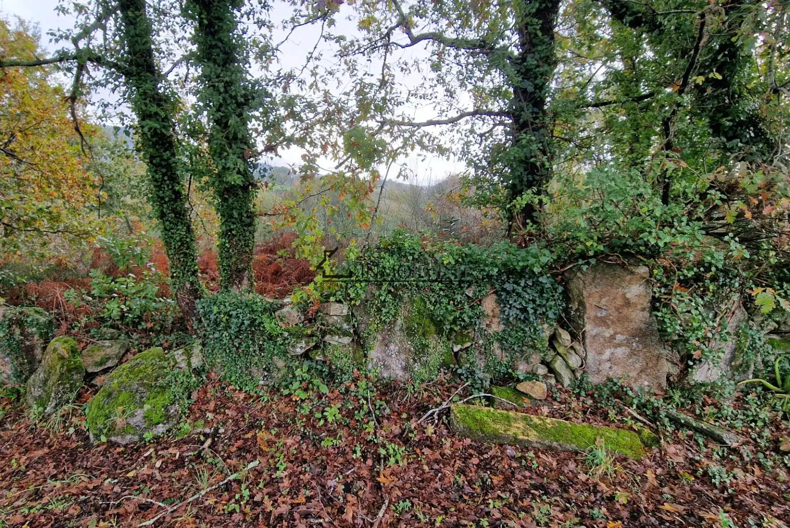 Lands and plots for sale in Soutomaior, imagen 6
