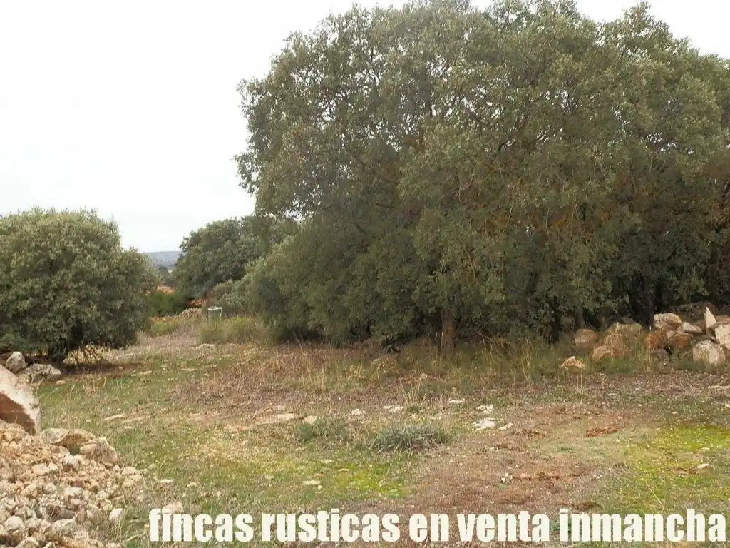 Terreny rústic en venda a Calle Albacete 10, imagen 4