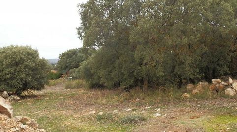 Fincas inmancha 388 has. labor caza menor en Villarrobledo (Albacete), imatge 4