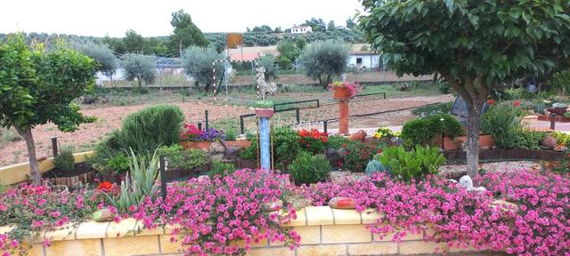 Finca rústica en Venta en Camino del Asno en Pedro Abad