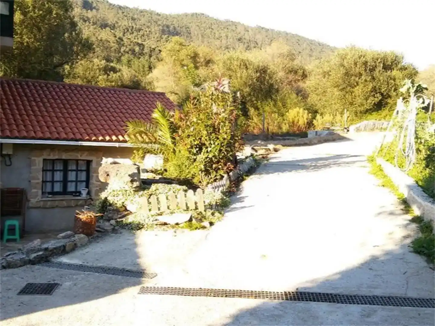 Vista exterior de Finca rústica en venta en Área Rural