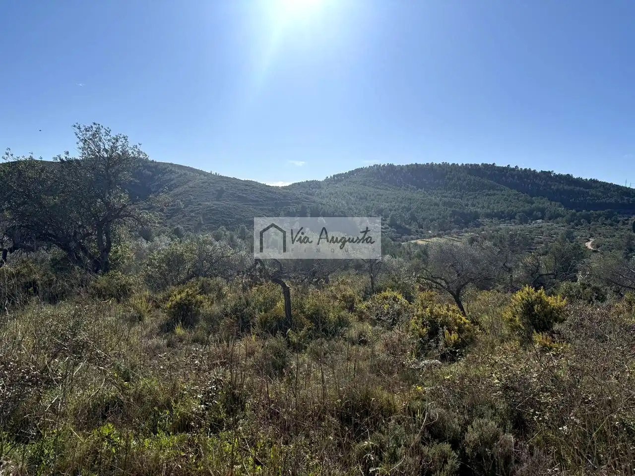 Terreno rustico in vendita a Bassa d'en Baró, imagen 15