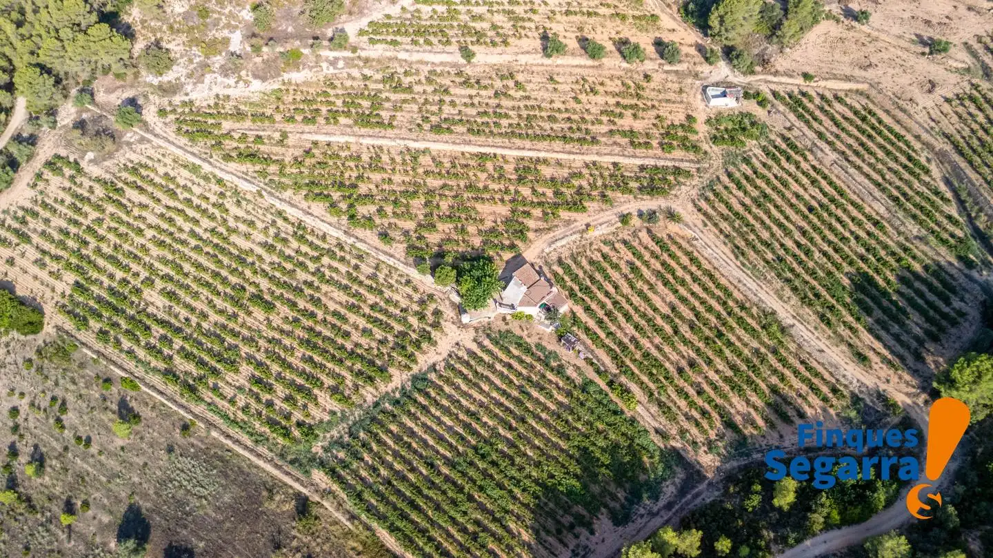 Land for sale in Bonastre, Bonastre