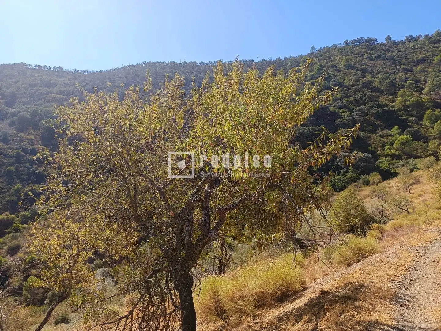 Residencial en venda en Málaga