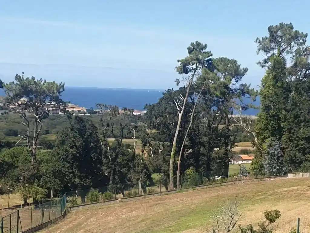 Houses for sale in Loureda - Lañas - Barrañán