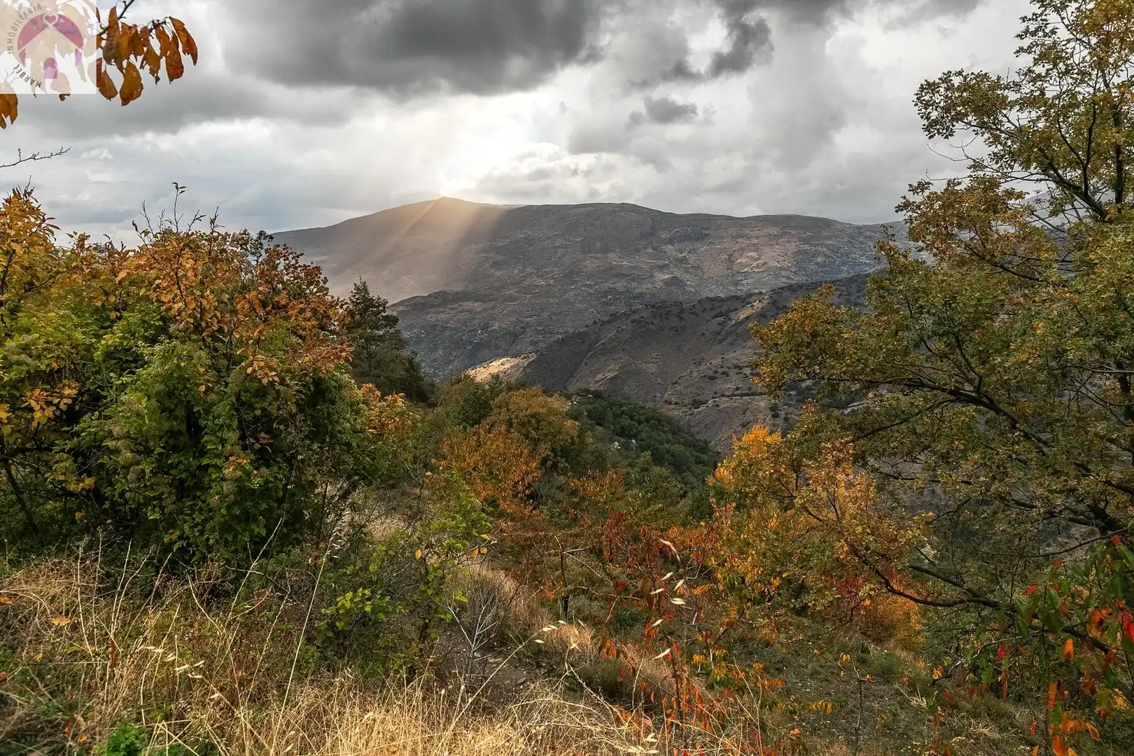 Lands and plots for sale in Güéjar Sierra, imagen 20