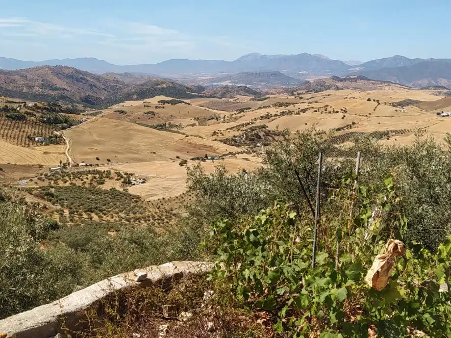 Terreno en venta en Villanueva de la Concepción